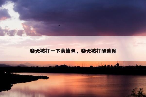 柴犬被打一下表情包，柴犬被打醒动图