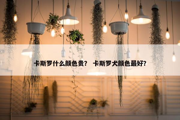 卡斯罗什么颜色贵？ 卡斯罗犬颜色最好？
