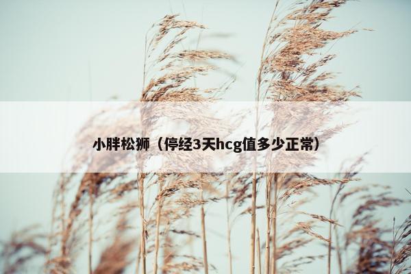 小胖松狮（停经3天hcg值多少正常）