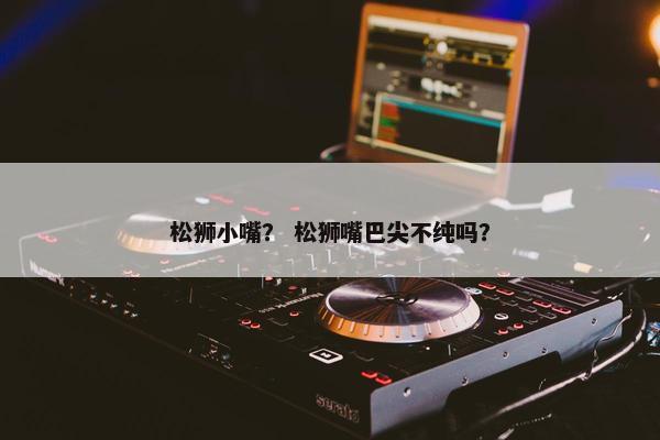 松狮小嘴？ 松狮嘴巴尖不纯吗？
