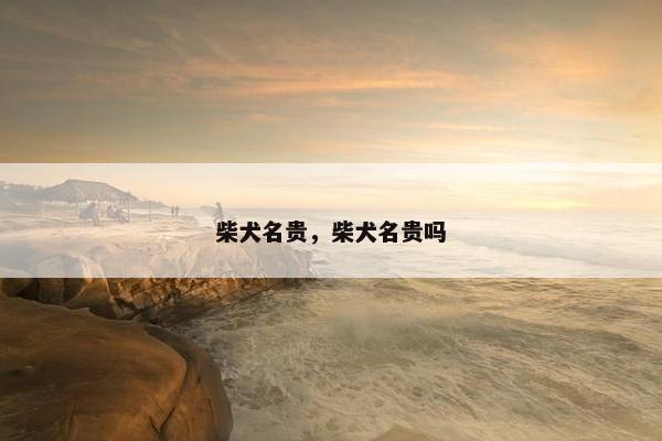 柴犬名贵，柴犬名贵吗