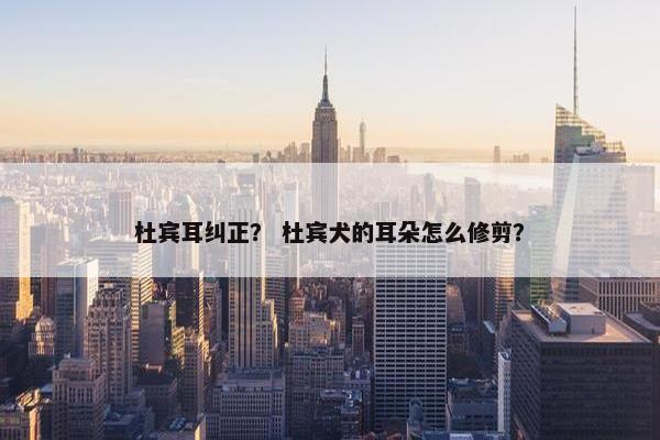 杜宾耳纠正? 杜宾犬的耳朵怎么修剪?