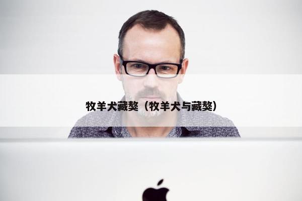 牧羊犬藏獒（牧羊犬与藏獒）