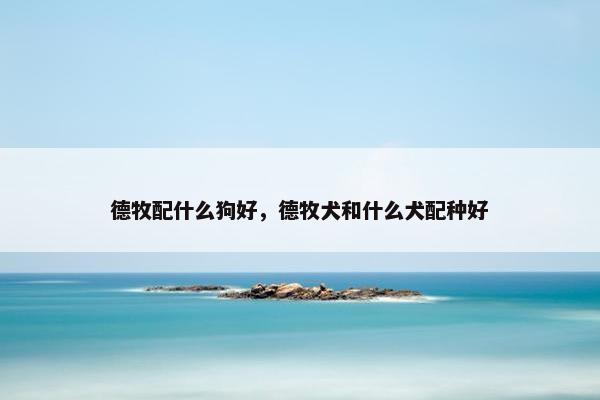 德牧配什么狗好,德牧犬和什么犬配种好