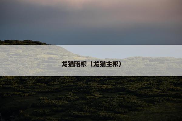 龙猫陪粮（龙猫主粮）