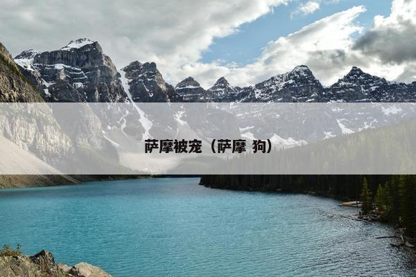 萨摩被宠(萨摩 狗)