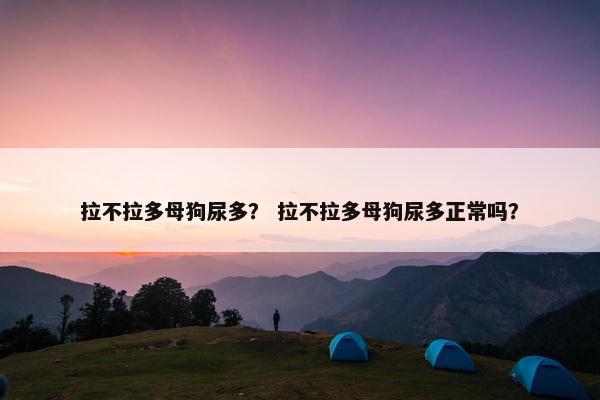 拉不拉多母狗尿多? 拉不拉多母狗尿多正常吗?