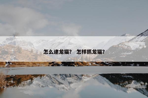 怎么逮龙猫？ 怎样抓龙猫？