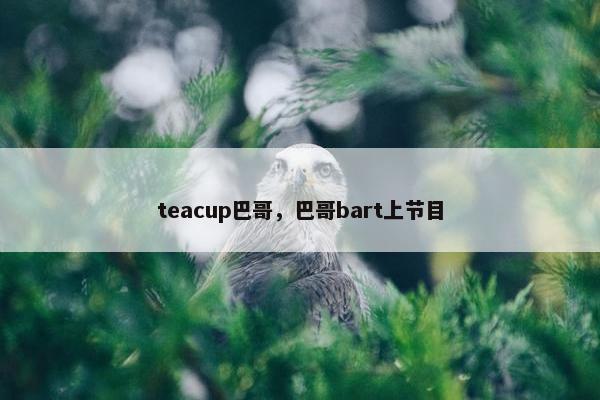 teacup巴哥，巴哥bart上节目
