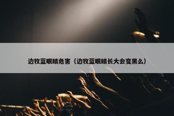 边牧蓝眼睛危害(边牧蓝眼睛长大会变黑么)