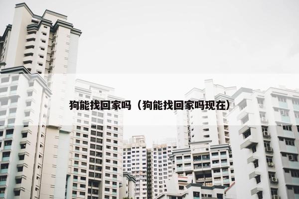 狗能找回家吗（狗能找回家吗现在）