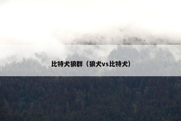 比特犬狼群(狼犬vs比特犬)