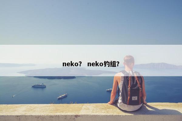 neko？ neko钓组？