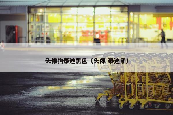 头像狗泰迪黑色（头像 泰迪熊）