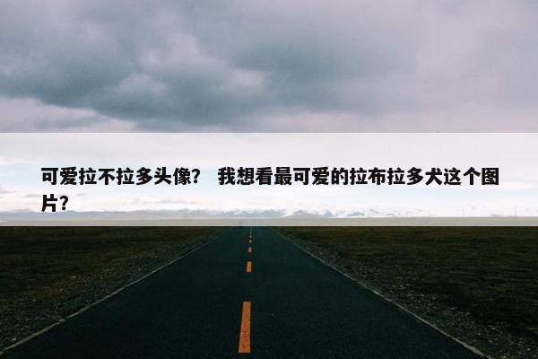 可爱拉不拉多头像? 我想看最可爱的拉布拉多犬这个图片?