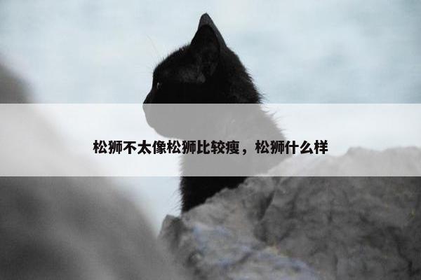 松狮不太像松狮比较瘦，松狮什么样