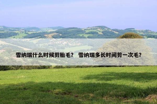 雪纳瑞什么时候剪胎毛？ 雪纳瑞多长时间剪一次毛？