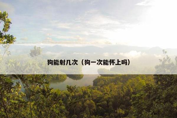 狗能射几次(狗一次能怀上吗)