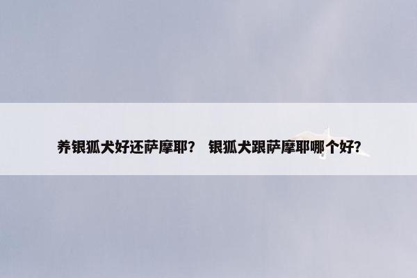 养银狐犬好还萨摩耶？ 银狐犬跟萨摩耶哪个好？