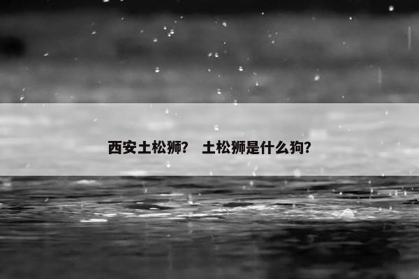 西安土松狮？ 土松狮是什么狗？