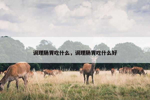 调理肠胃吃什么，调理肠胃吃什么好