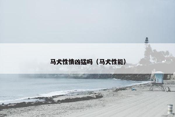 马犬性情凶猛吗（马犬性能）