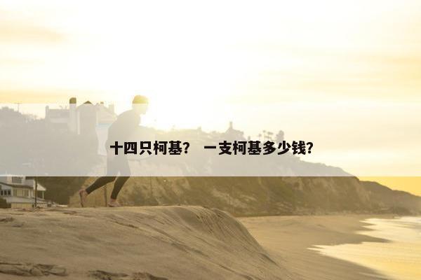 十四只柯基？ 一支柯基多少钱？