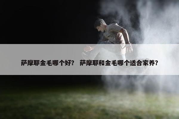 萨摩耶金毛哪个好？ 萨摩耶和金毛哪个适合家养？
