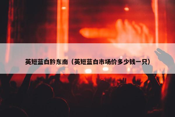 英短蓝白黔东南（英短蓝白市场价多少钱一只）