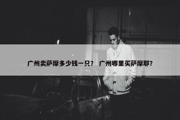 广州卖萨摩多少钱一只? 广州哪里买萨摩耶?