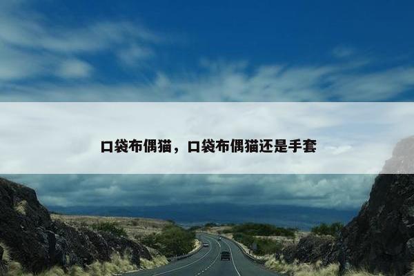 口袋布偶猫，口袋布偶猫还是手套