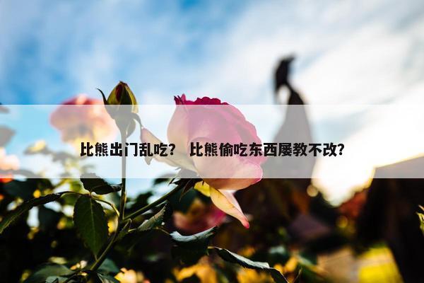 比熊出门乱吃? 比熊偷吃东西屡教不改?