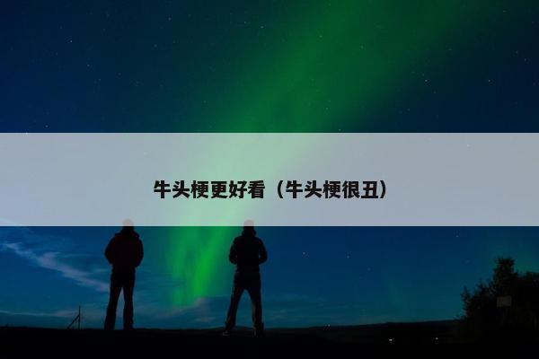 牛头梗更好看（牛头梗很丑）