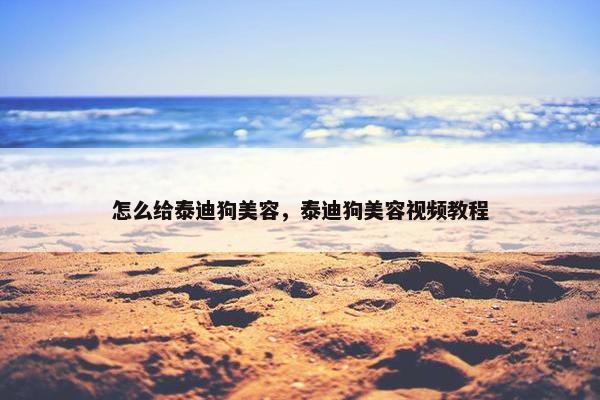 怎么给泰迪狗美容，泰迪狗美容视频教程