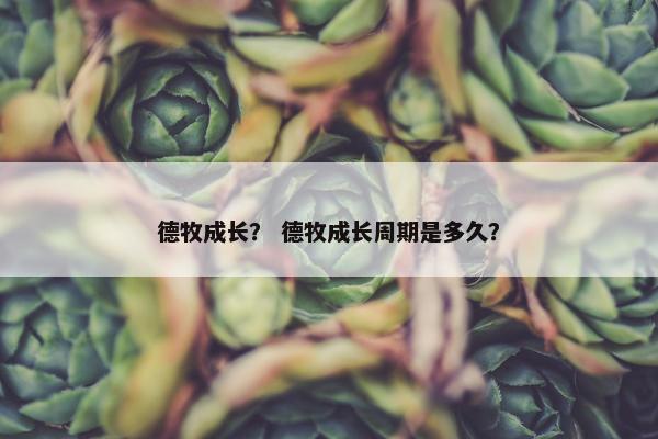 德牧成长？ 德牧成长周期是多久？