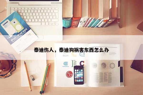 泰迪伤人，泰迪狗祸害东西怎么办