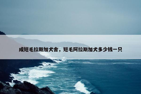 成短毛拉斯加犬舍，短毛阿拉斯加犬多少钱一只