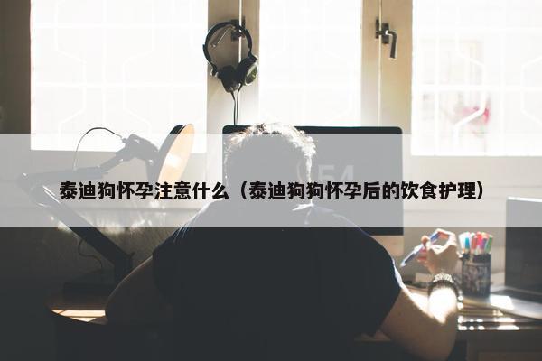泰迪狗怀孕注意什么（泰迪狗狗怀孕后的饮食护理）