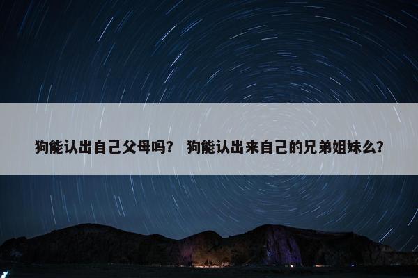 狗能认出自己父母吗? 狗能认出来自己的兄弟姐妹么?
