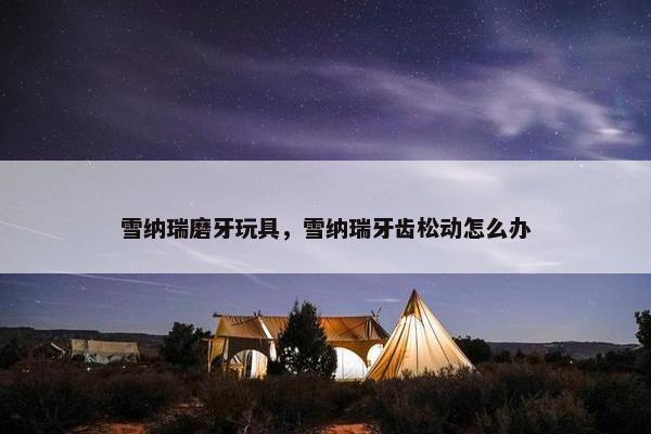 雪纳瑞磨牙玩具，雪纳瑞牙齿松动怎么办