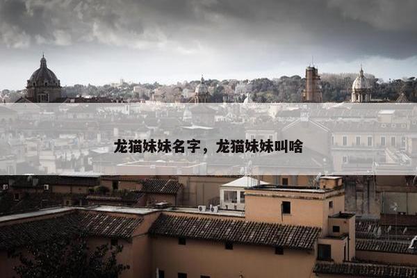 龙猫妹妹名字，龙猫妹妹叫啥