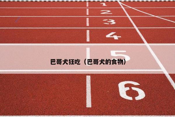 巴哥犬狂吃(巴哥犬的食物)