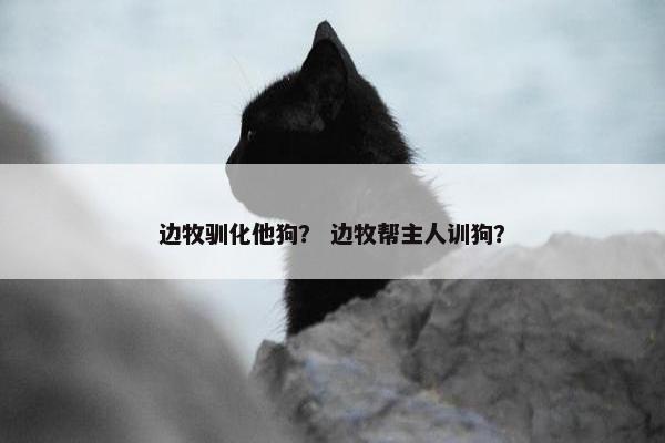 边牧驯化他狗？ 边牧帮主人训狗？