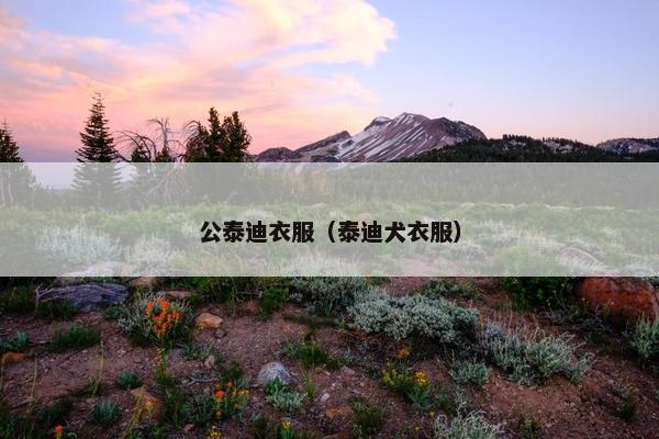 公泰迪衣服（泰迪犬衣服）