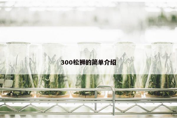 300松狮的简单介绍