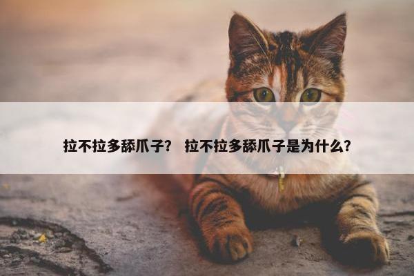 拉不拉多舔爪子？ 拉不拉多舔爪子是为什么？