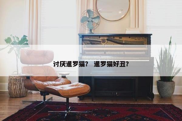 讨厌暹罗猫？ 暹罗猫好丑？