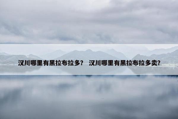 汉川哪里有黑拉布拉多？ 汉川哪里有黑拉布拉多卖？