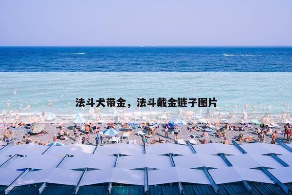 法斗犬带金，法斗戴金链子图片