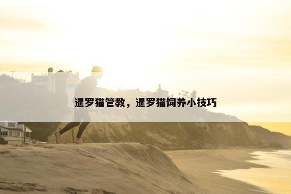 暹罗猫管教,暹罗猫饲养小技巧